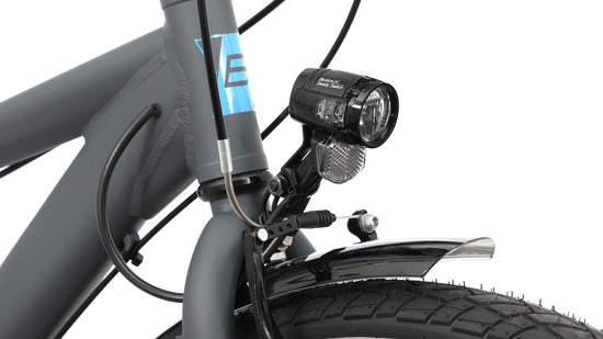Bicycles Race 26.8 online kaufen im Angebot
