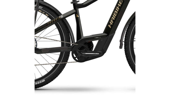 Haibike Trekking 11 online kaufen Kostenloser Versand international