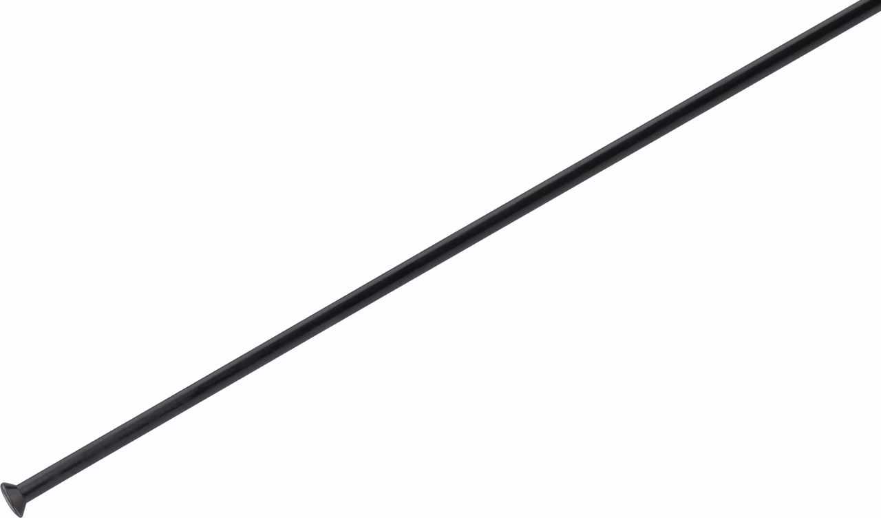 DT Swiss Champion® Straightpull 2.0 Speichen - 5 Stück Begrenzte Freigabe